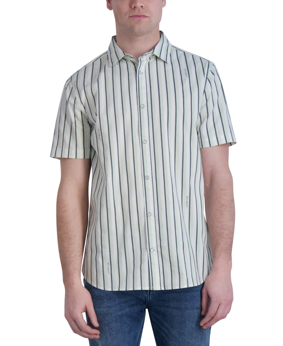 Karl Lagerfeld Paris Mens Regular fit Short Sleeve Button-Up Shirt Small Green Striped