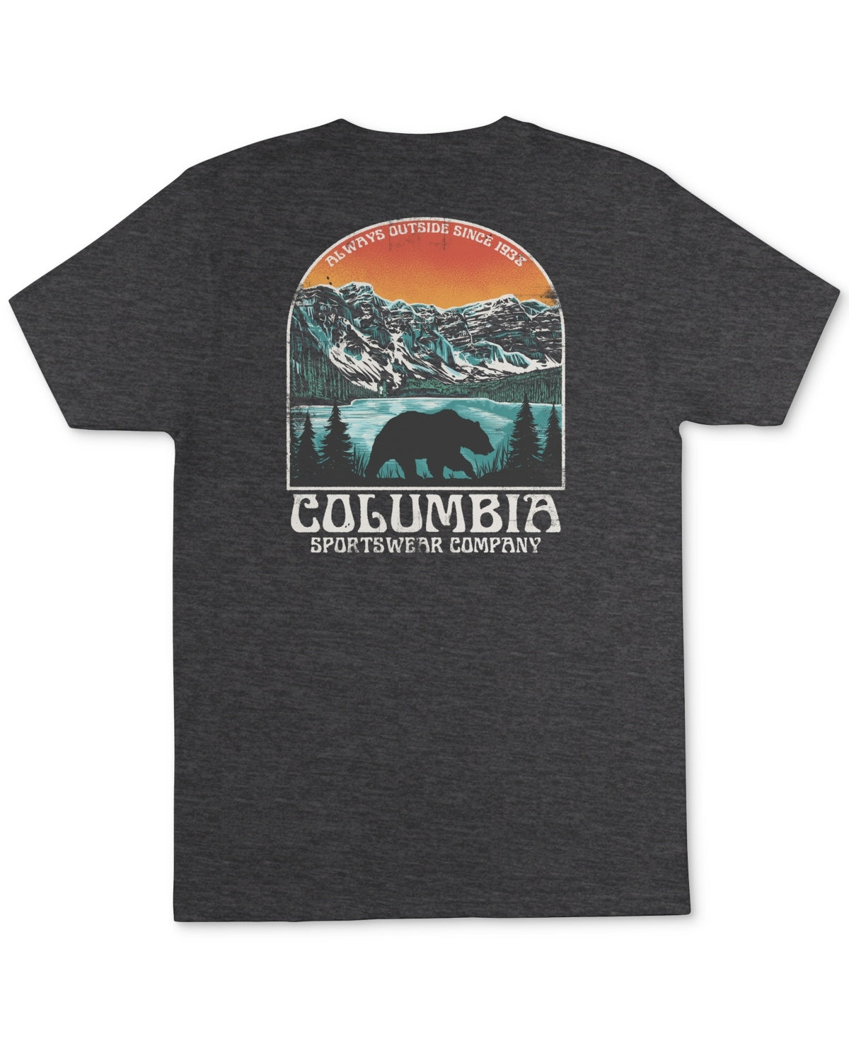 Columbia Mens Regular fit Short Sleeve Graphic T-Shirt Shirt Small Grey Solid