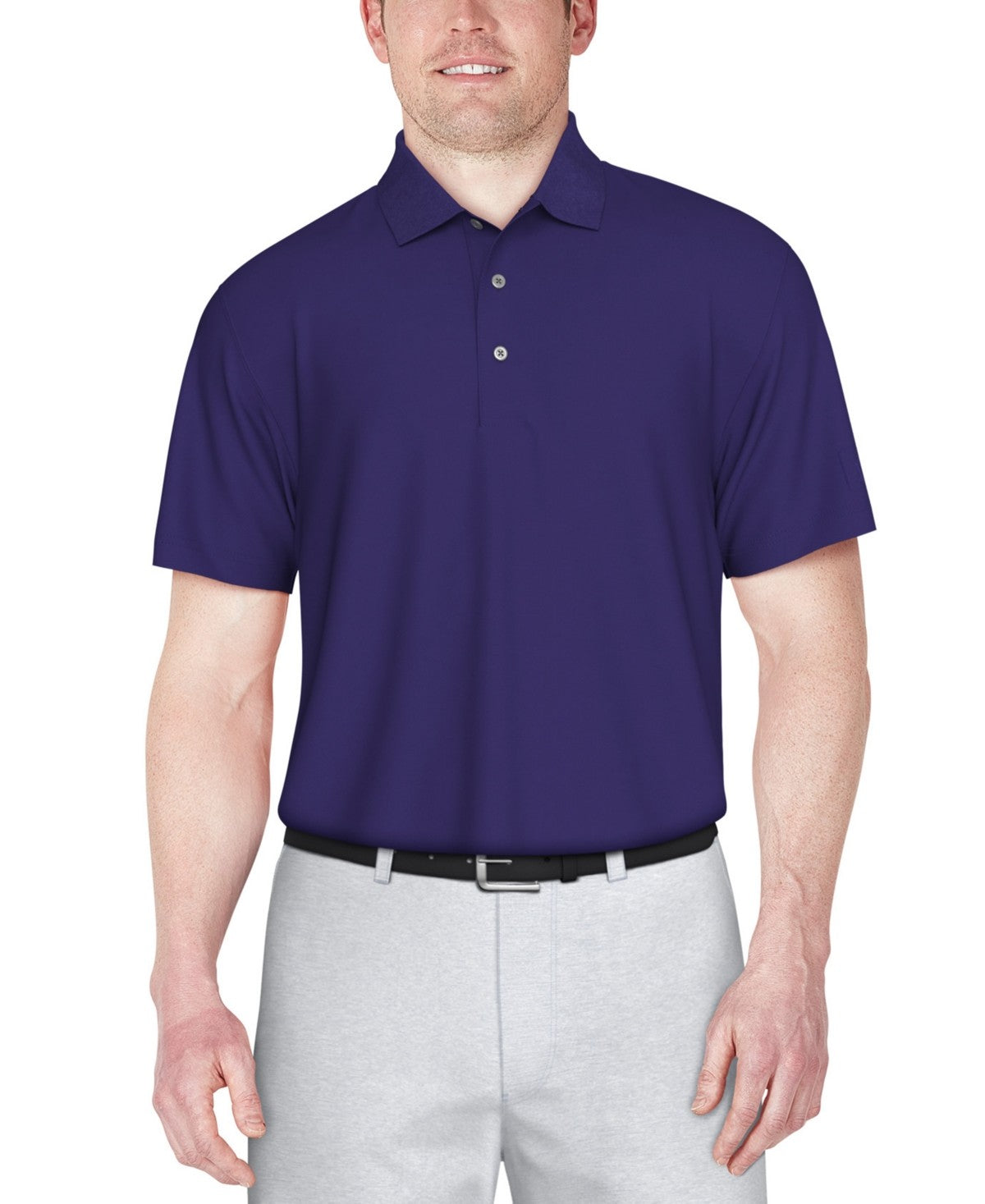 Pga Tour Mens Regular fit Short Sleeve Polo Shirt Small Dark Purple Solid