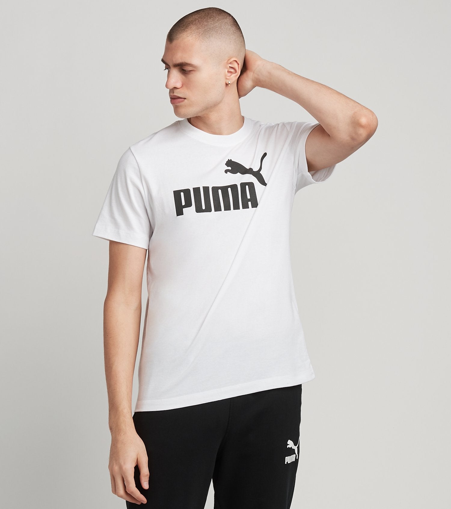 Puma Men Regular fit Short Sleeve T-Shirt Shirt Large White Solid