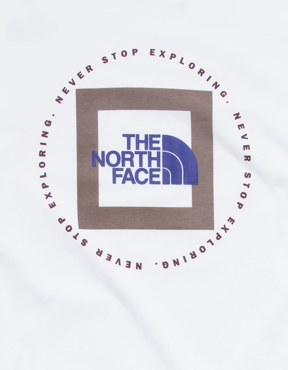 The North Face Men's Geo NSE White Deep Taupe T Shirt Small