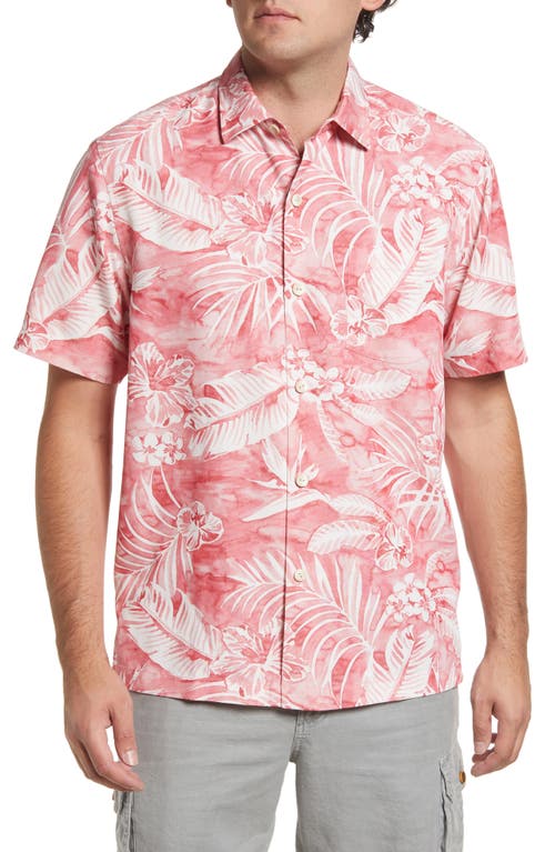 Tommy Bahama Men's Coconut Point Aqua Camp Shirt Red Sail XXXL