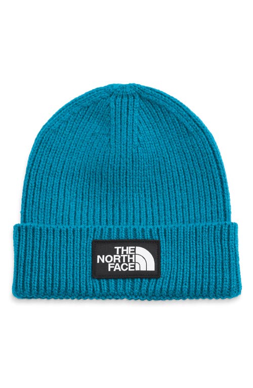 The North Face Mens Cuffed Hat Beanie Acotic Blue