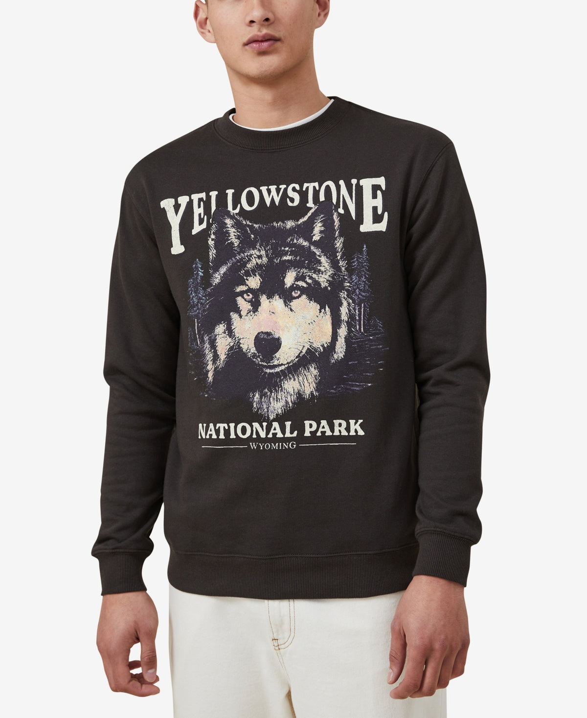 COTTON ON Mens Graphic Crewneck Sweatshirt Black Yellowstone Medium