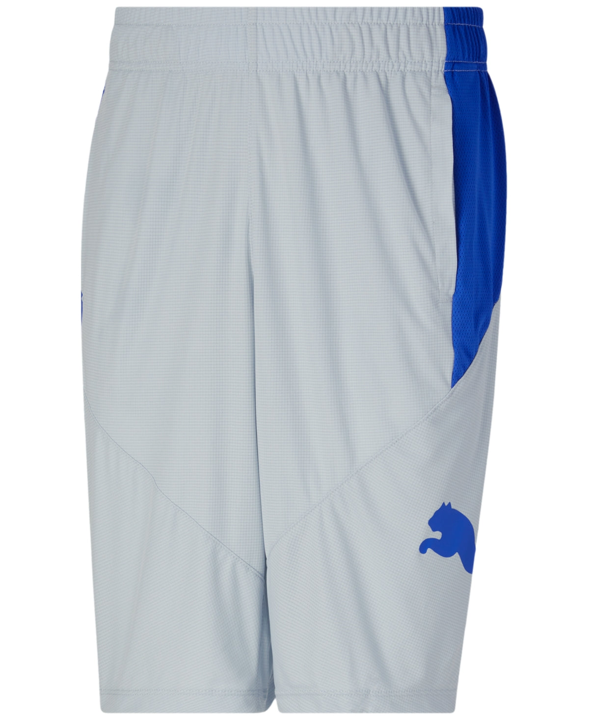 Puma Men's 10" Moisture Wicking Training Cat Shorts Grey Blue 2XL