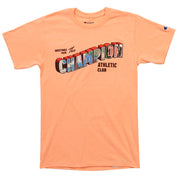 Champion Mens Crew Neck Graphic T Shirt Coral 2XL