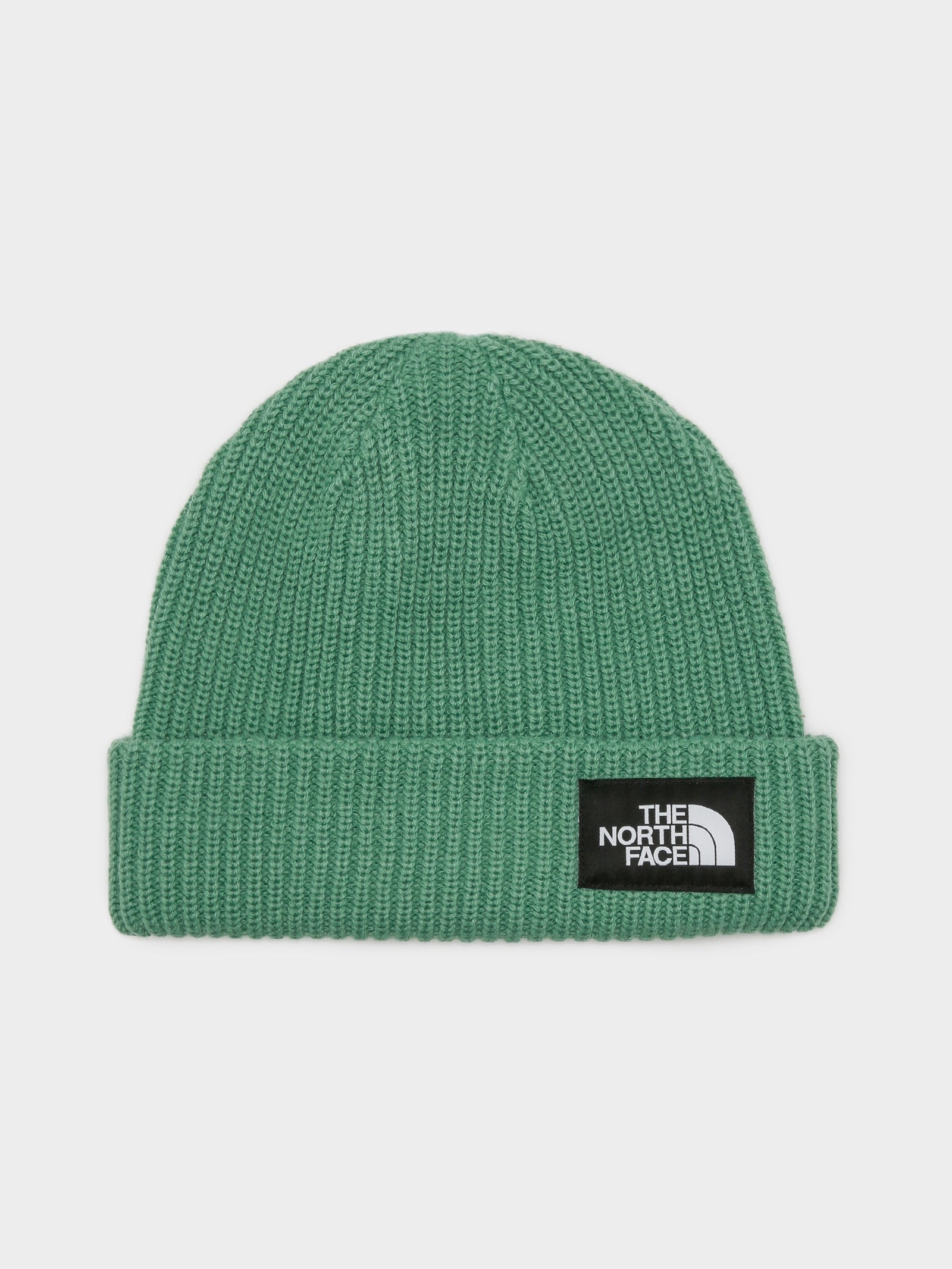 The North Face Men's Salty Dog Beanie Hat Deep Grass Green OS