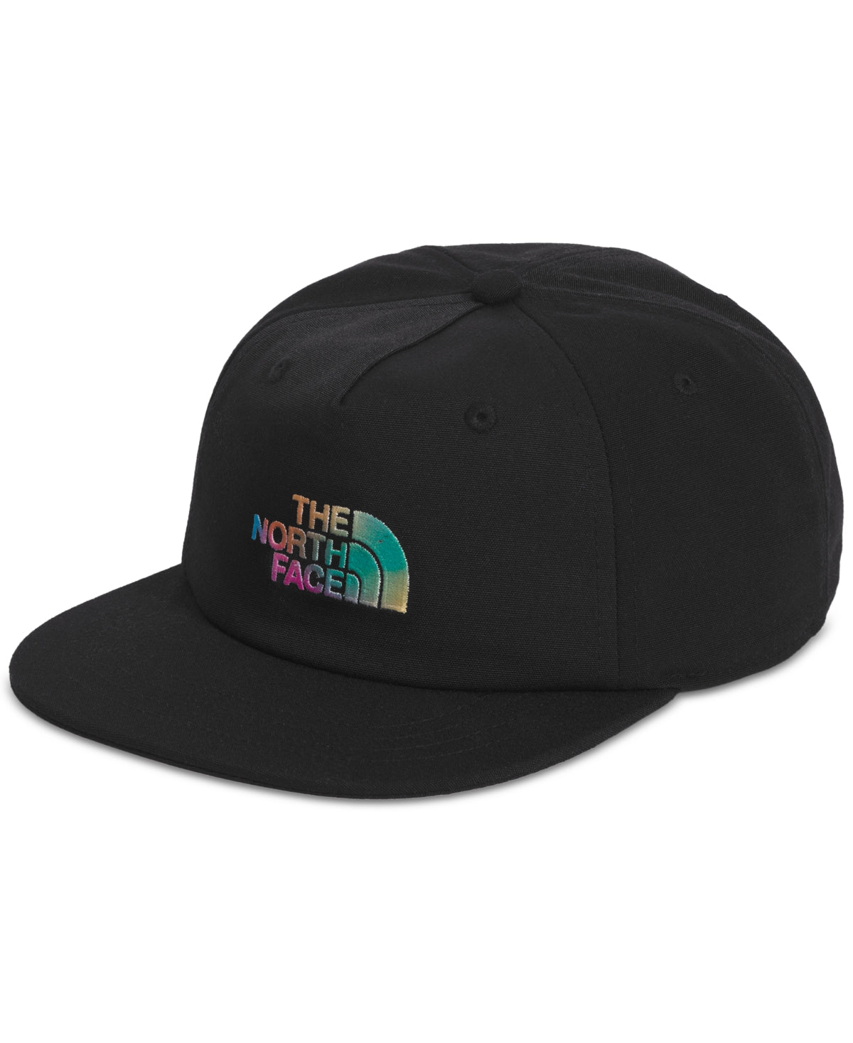 The North Face Men's 5 Panel 66 Baseball Hat pride Graphic Black