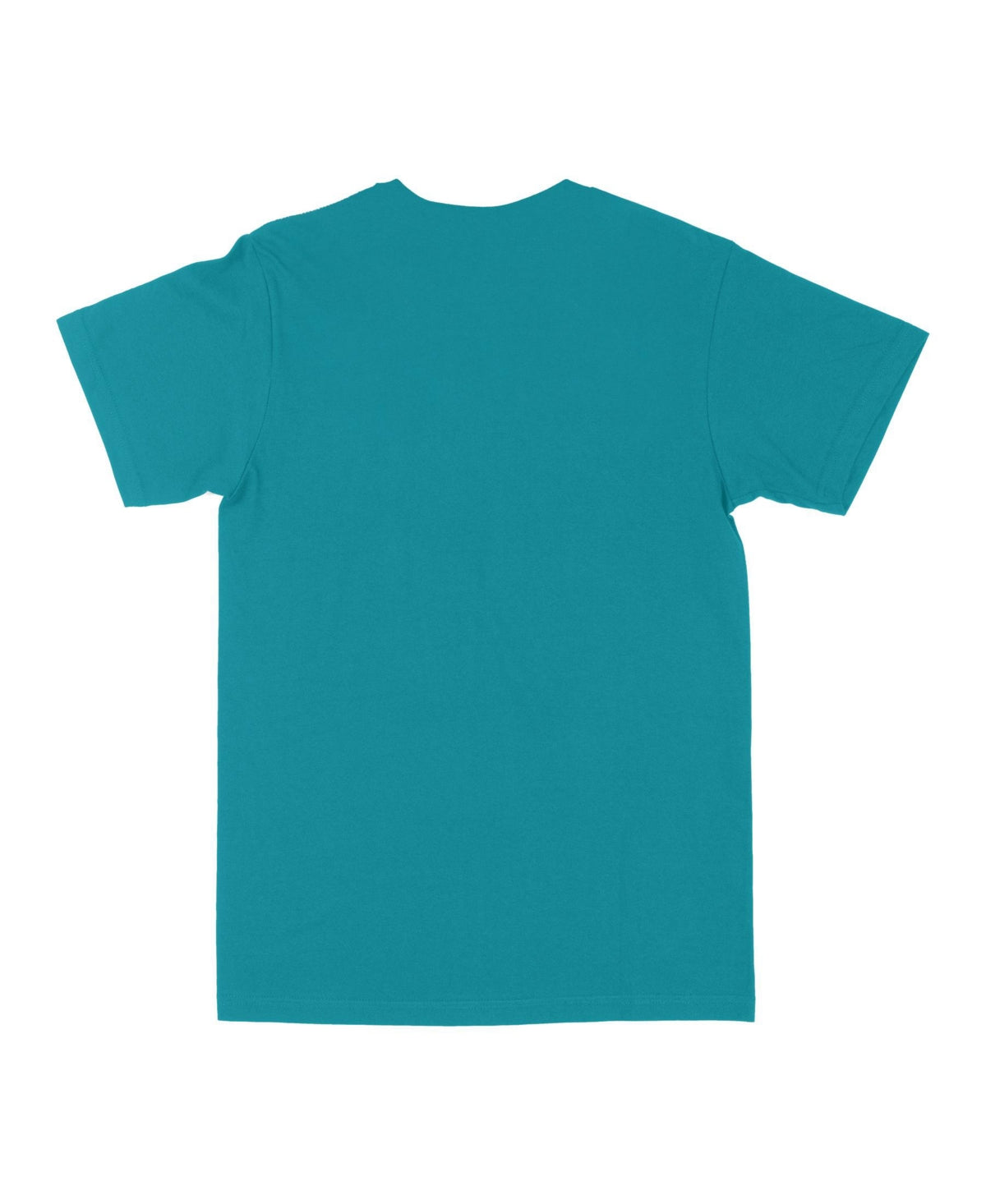 Philcos Mens Regular fit Short Sleeve T-Shirt Shirt Small Blue