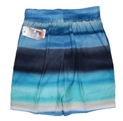 SPEEDO Mens 4 Way Comfort Stretch Board Shorts Small Blue
