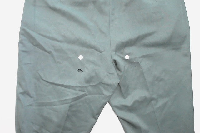 Tayion Mens Regular fit Dress Pants 32 / 32 Mint Green Solid