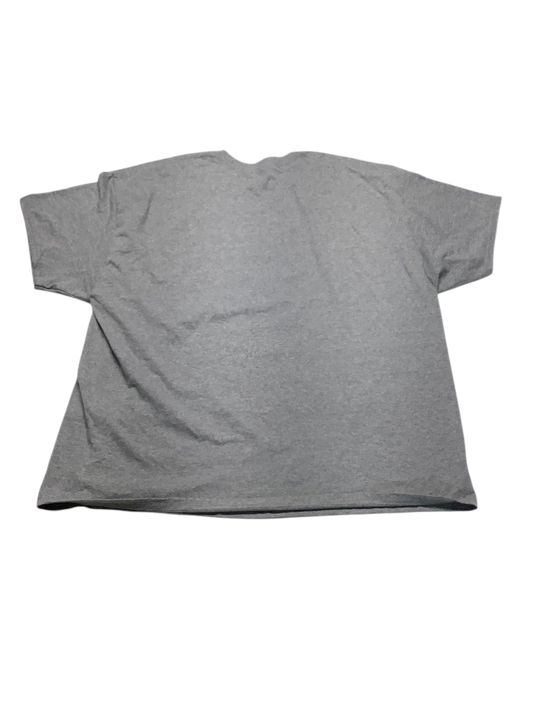 Reebok Mens Regular fit Short Sleeve Graphic T-Shirt Shirt Small Grey Solid