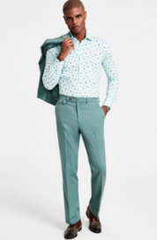 Tayion Mens Regular fit Dress Pants 32 / 32 Mint Green Solid