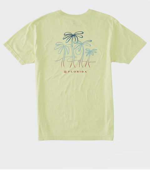 screenshot_202024-09-08_20at_2012-45-35_20fl_20breeze_20t-shirt_20-_20light_20green_20billabong.png