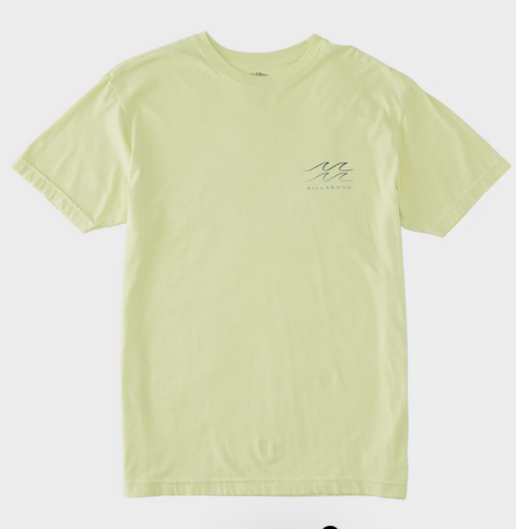 screenshot_202024-09-08_20at_2012-45-51_20fl_20breeze_20t-shirt_20-_20light_20green_20billabong.png