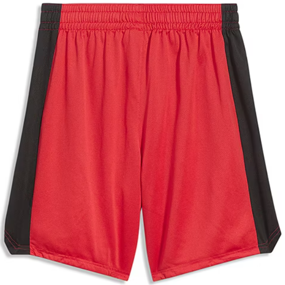 Puma Mens Regular fit Colorblocked Basketball Shorts Large Red Solid
