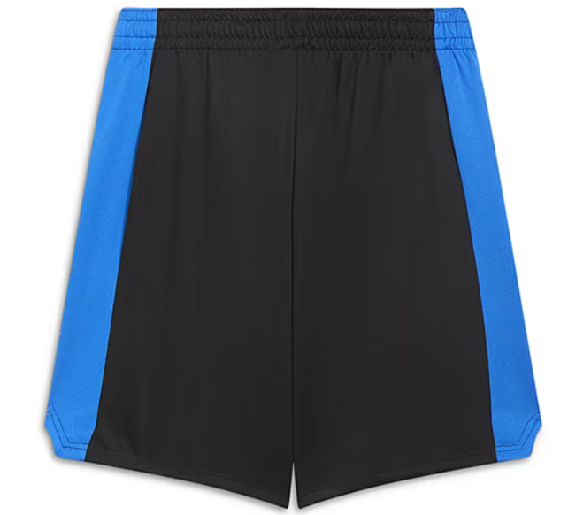 Puma Mens Regular fit Athletic Shorts XXL Blue Solid
