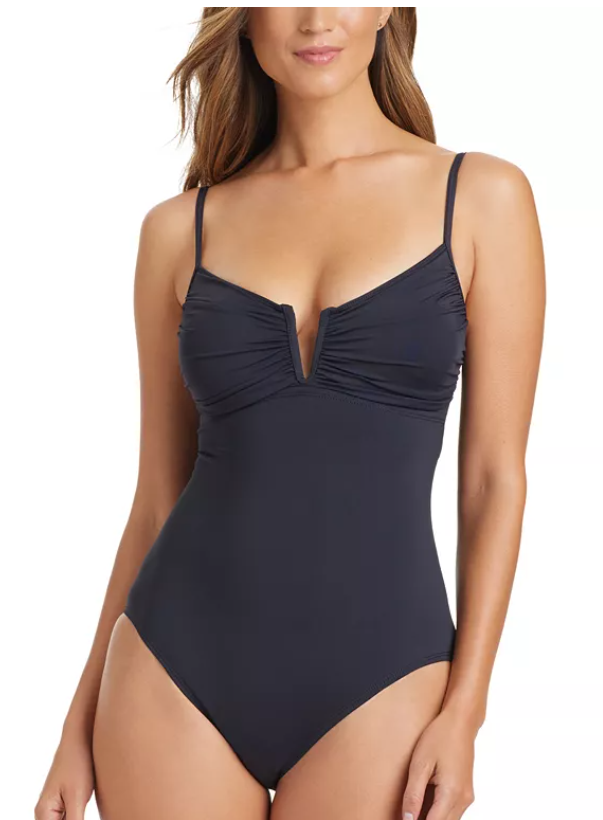 Bleu by Rod Beattie Women's Regular Fit V Wire One Piece Swimsuit Black 10